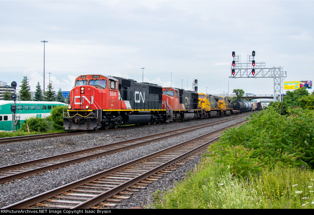 CN 5646